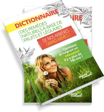 Dictionnaire